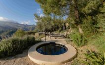 Jacuzzi exterior con terraza premium pool suite